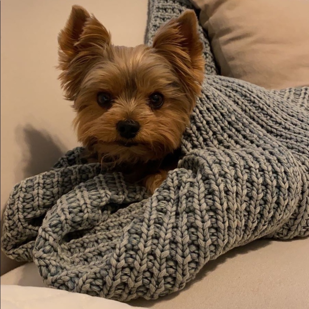 Meet your Posher, Patricia